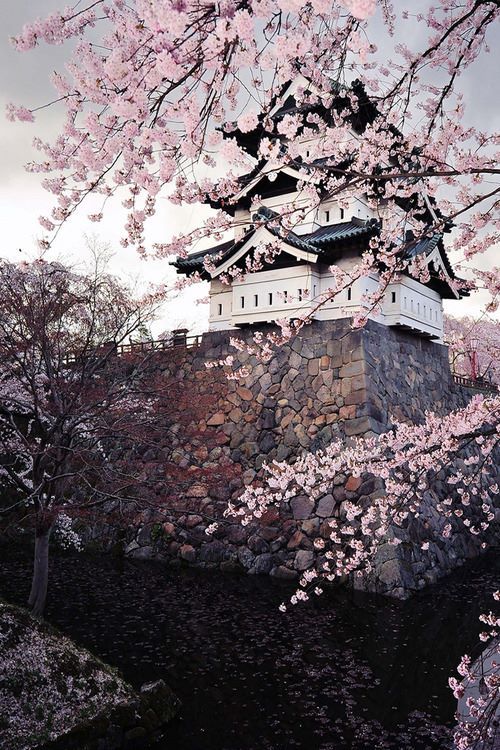 Hirosaki Castle, Japan.